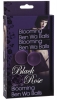 Вагинальные шарики BLACK ROSE BEN WA BALLS PURPLE D 2см